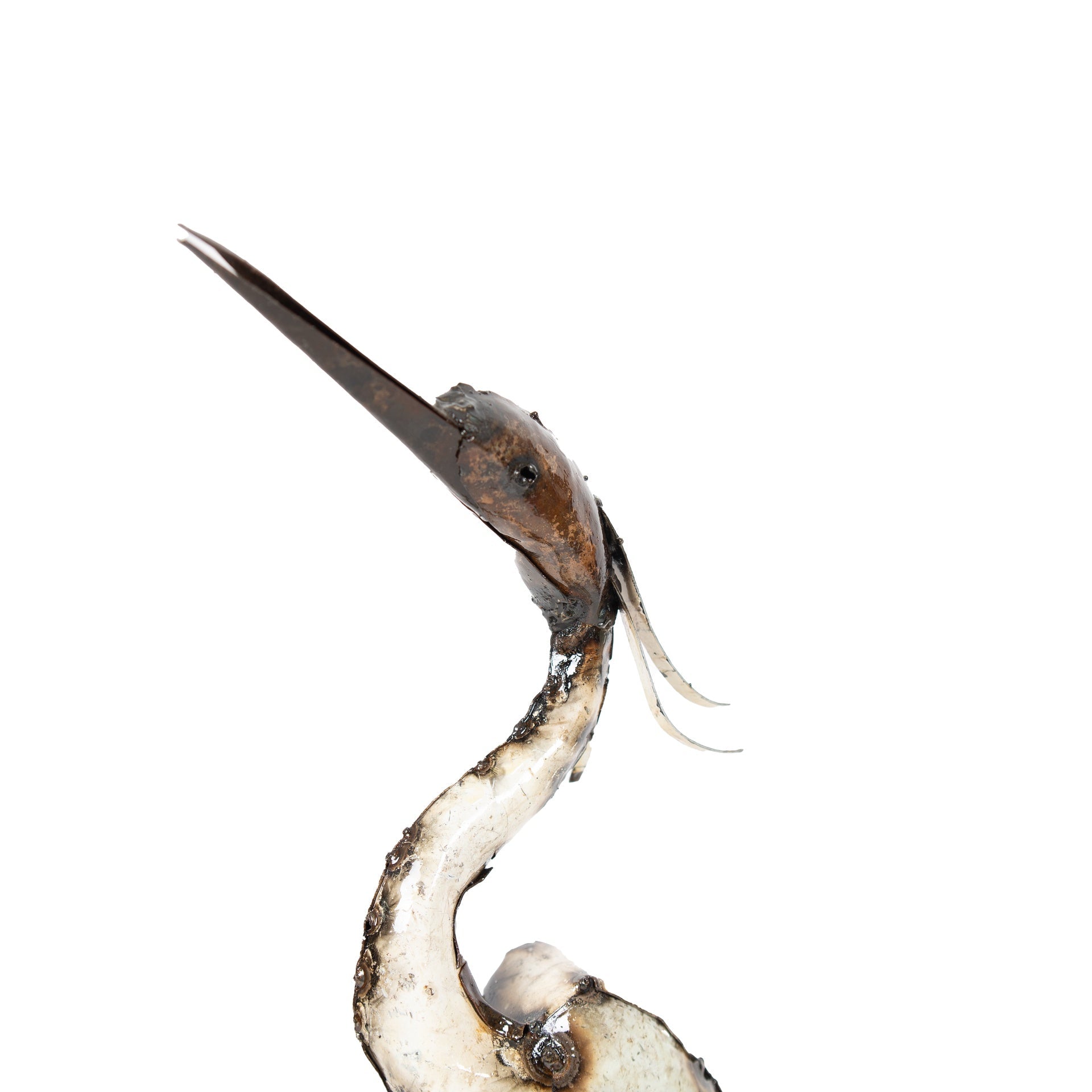 White Egret