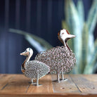 Wiggle Duckling