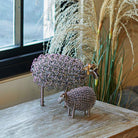 Wiggle Lamb, Nickel
