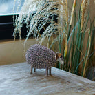 Wiggle Lamb, Nickel