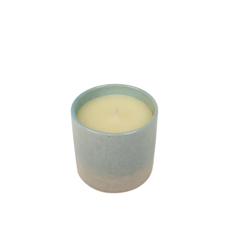 Wild Gorse, Sea & Shore Pot