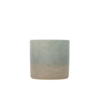 Wild Gorse, Sea & Shore Pot