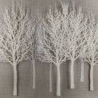 Wonder Woods Framed Art
