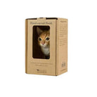 Wooden Cat Hook