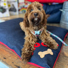 Woof Dog Bed, Medium Duck Egg - Corner Woof,Denim/Red - Corner Woof