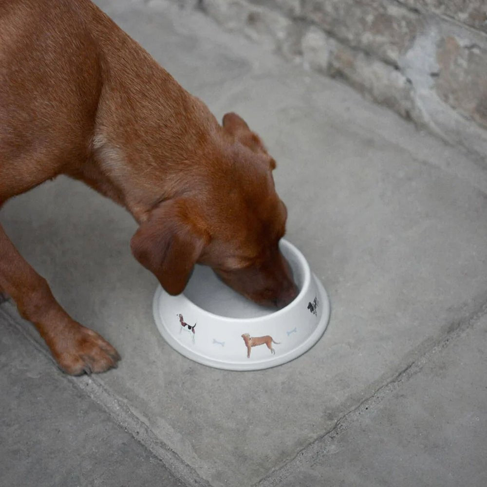 Woof Metal Dog Bowl