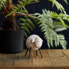 Woolly Ceramic Sheep, White
