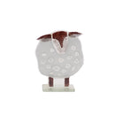 Wooly The Sheep