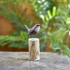 Wren on a Stump