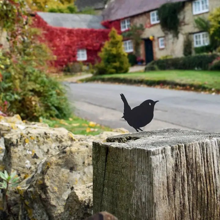 Wren Silhouette