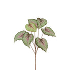 Begonia Leaf Spray