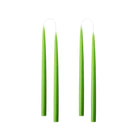 Colourful 35cm Taper Candles - 4 per gift box Light Green
