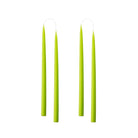Colourful 35cm Taper Candles - 4 per gift box Lime