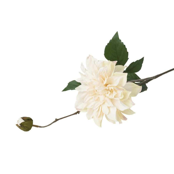 Close-up of the Cafe Au Lait dahlia flower head showing realistic silk petals and a small green bud