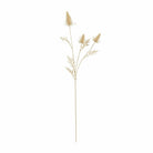Eryngium, Bleached