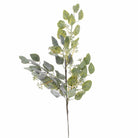 Eucalyptus Spray