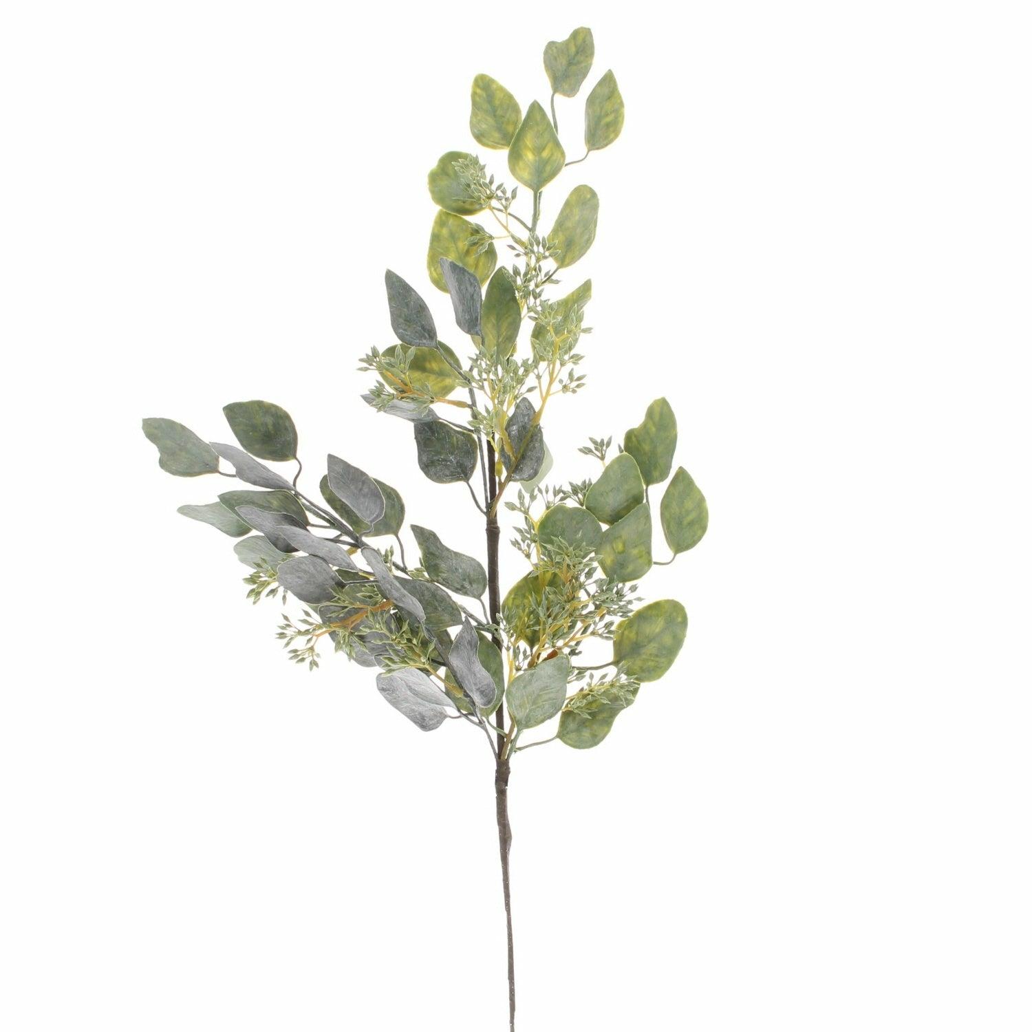 Eucalyptus Spray