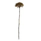 Faux Allium in Sage