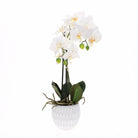 Faux Orchid in Pot, Medium