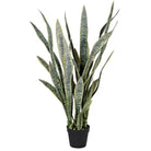 Faux Sansevieria Plant