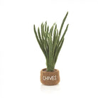 Felt Herb Decorations, Assorted Basil,Chives,Rosemary,Mint
