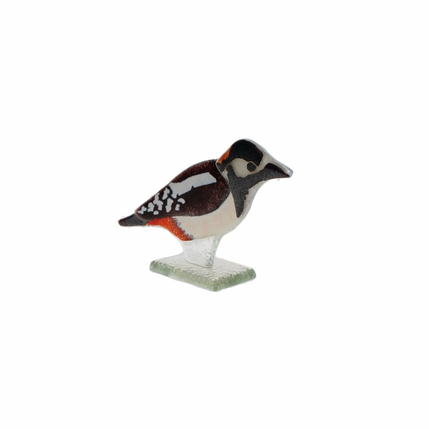 Glass Spotted Woodpecker