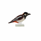 Glass Spotted Woodpecker