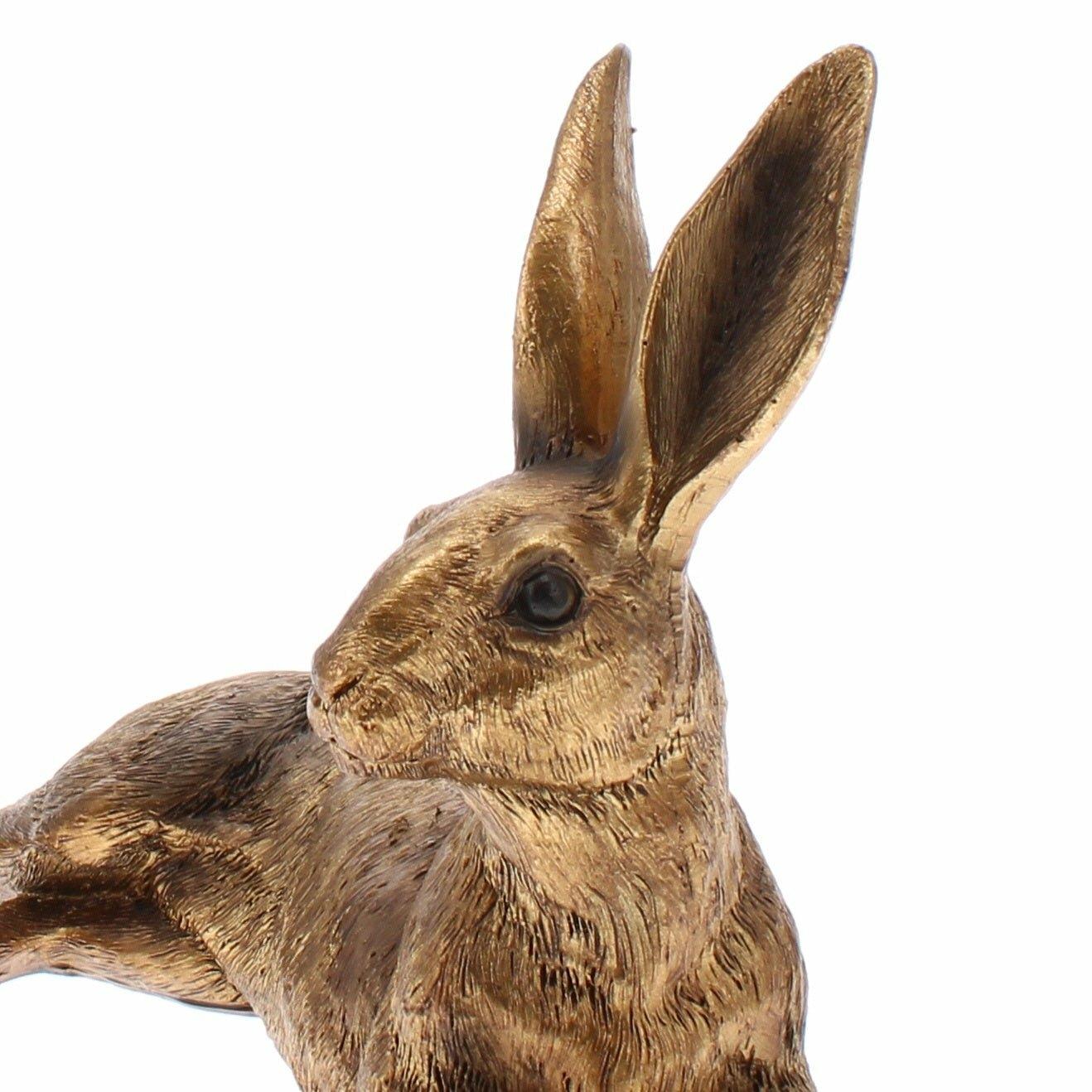 Golden Hare