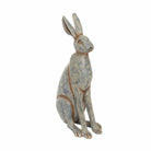 Grey Hare Sitting