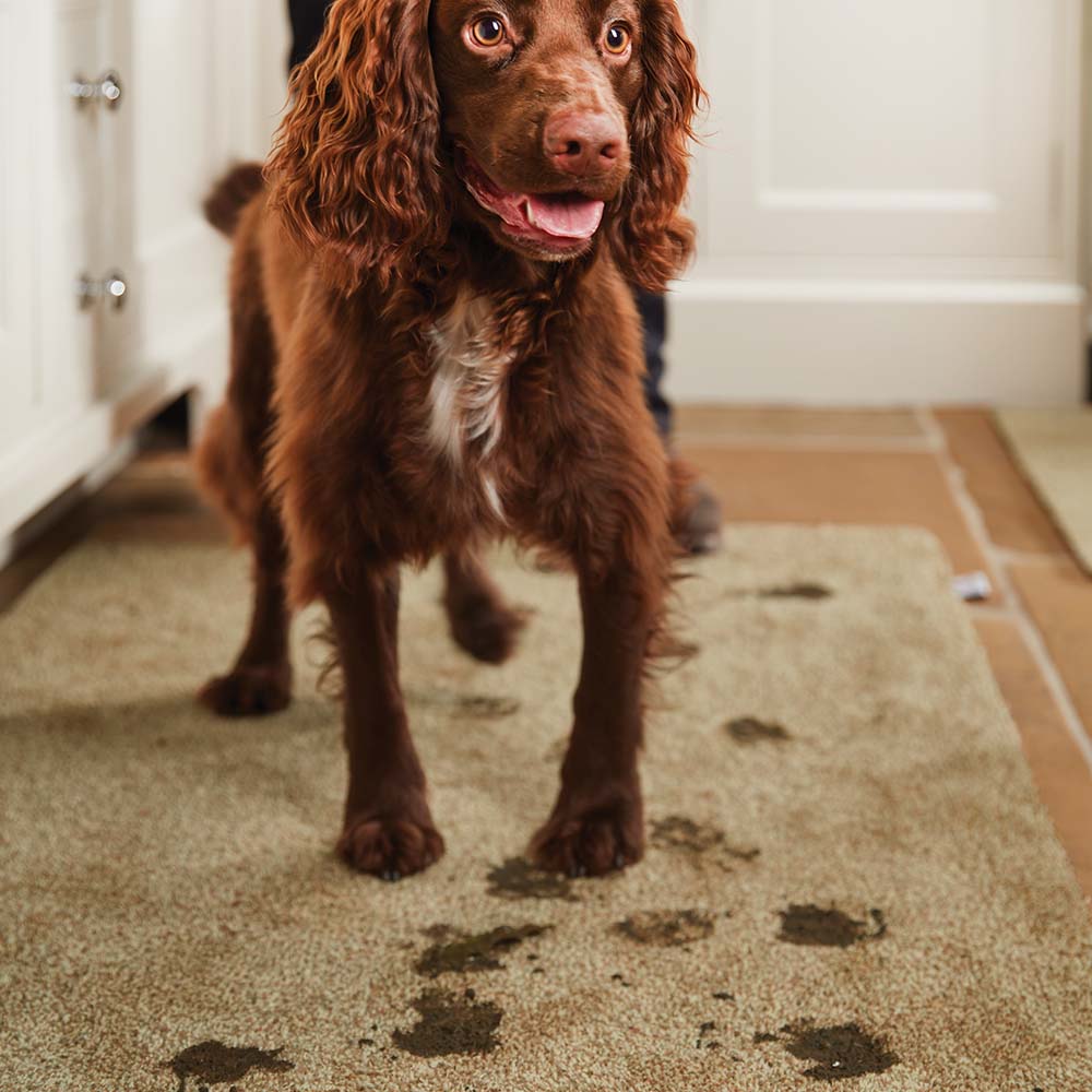 Stone Plain Doormat