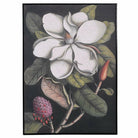 Large Vintage Style Magnolia Picture