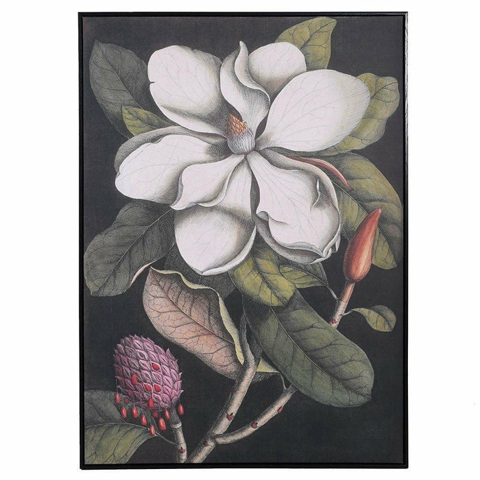 Large Vintage Style Magnolia Picture