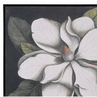 Large Vintage Style Magnolia Picture