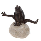 Leap Frog