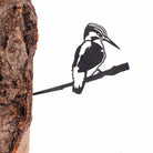 Metal Bird, Kingfisher