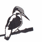 Metal Bird, Kingfisher