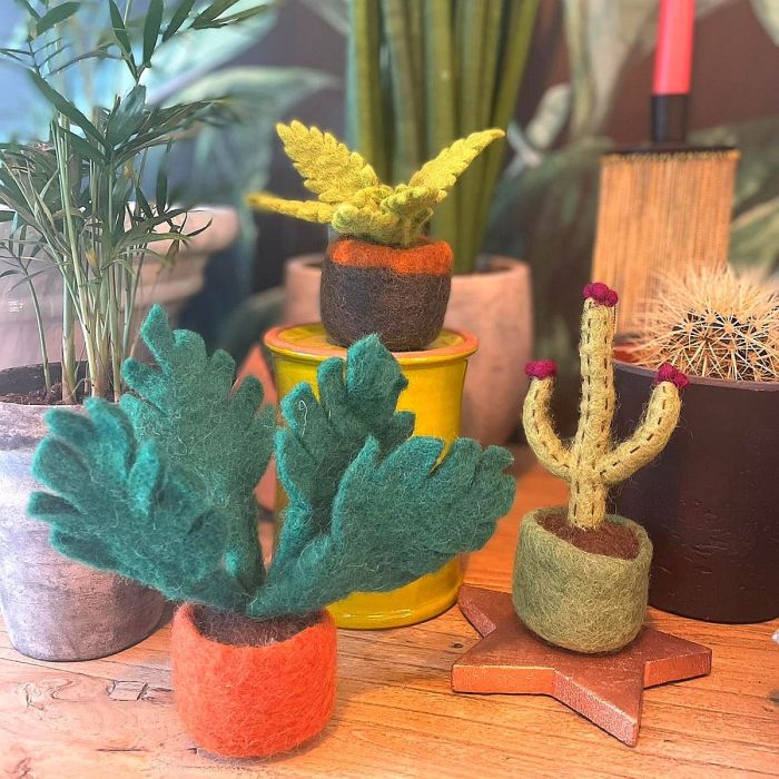 Mini Cactus Decorations, Assorted