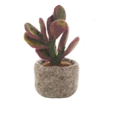 Mini Cactus Decorations, Assorted