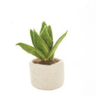 Mini Cactus Decorations, Assorted