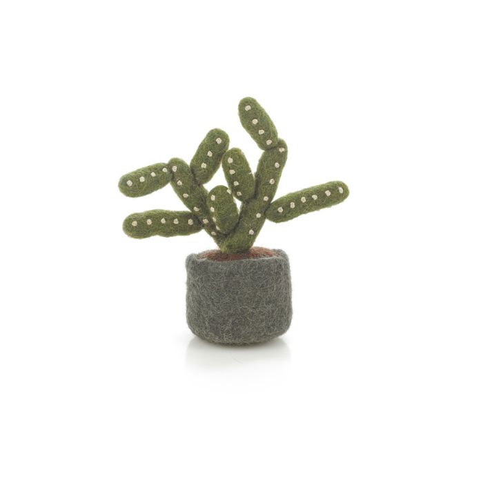 Mini Cactus Decorations, Assorted