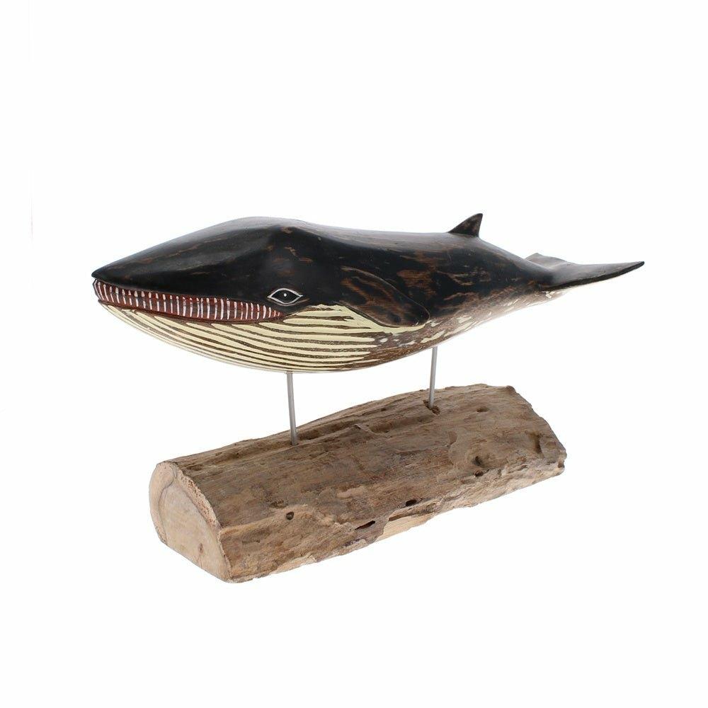 Minke Whale, Large