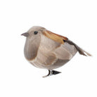 Partridge on a Clip