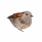 Partridge on a Clip