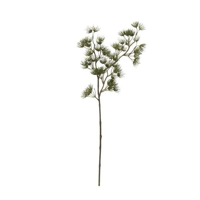Full-length view of the Pinus Vert Spray showing the tall wired stem and delicate green seed heads