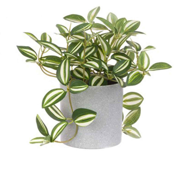 Artificial houseplant with variegated green and white striped leaves in a grey pot