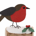 Robin & Holly On Log