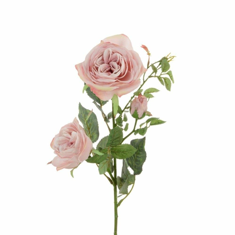 Rose Spray, Pink
