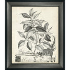 Scenic Botanical I