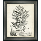 Scenic Botanical II