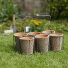 Set of 6 Small Pots in Basket